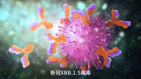 新冠1-600x337 亿万28·(中国平台)官方网站